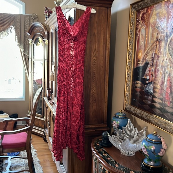 💃🏻💃🏻RED on RED Sexy BurnoutVelvet&Silk biasMaxiDress.SeperateRedSilkSlip.S:6 - Picture 6 of 14
